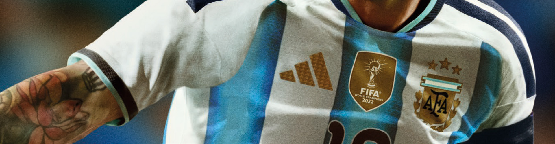 Argentinien WM Banner