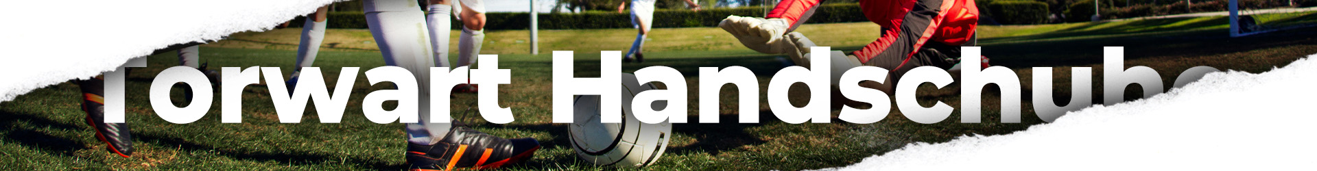 Torwart Handschuhe