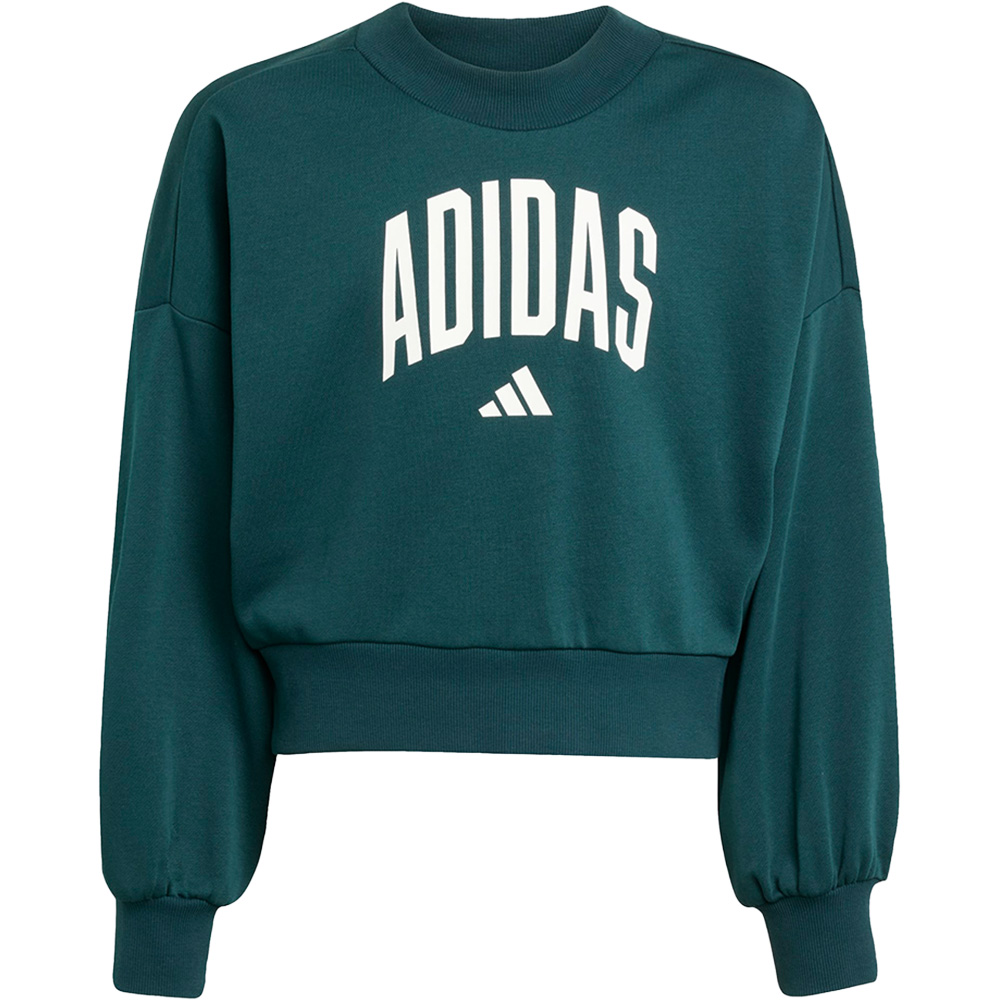 Seasonals Essentials Collegiate Typography Crew Sweatshirt Kinder 