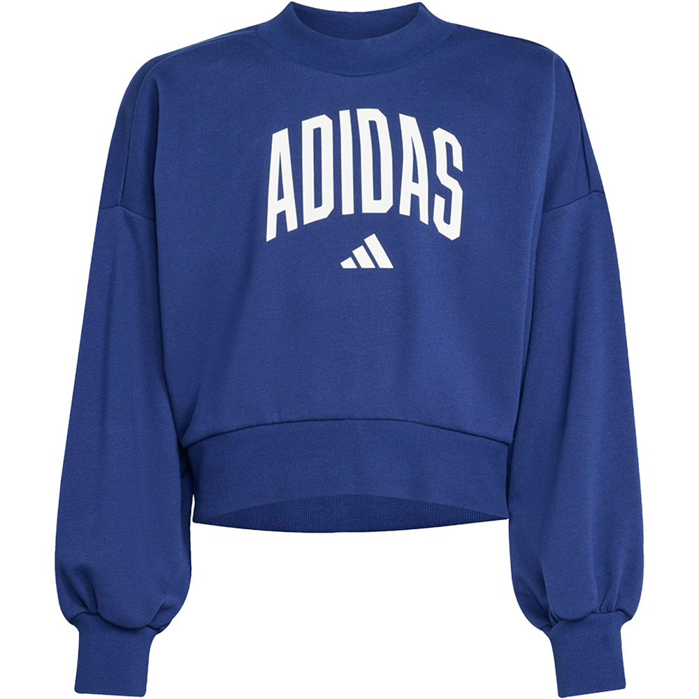 Seasonals Essentials Collegiate Typography Crew Sweatshirt Kinder 