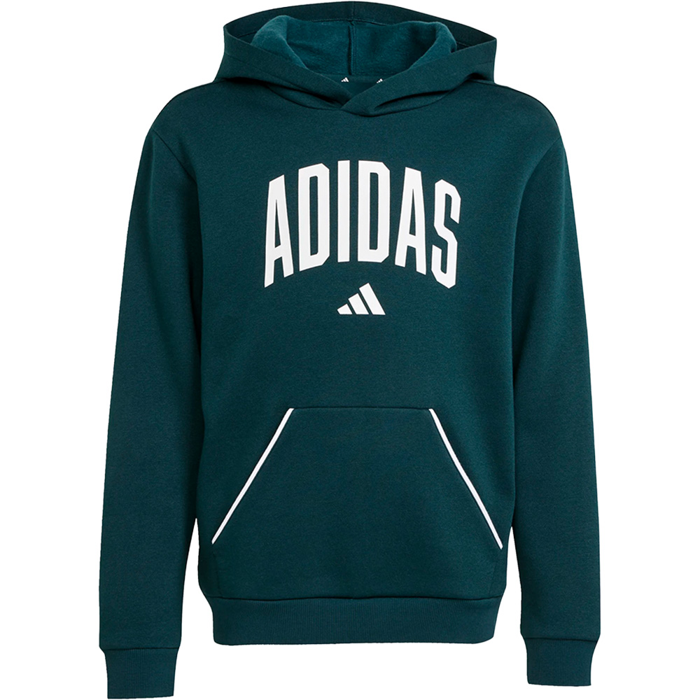 Seasonals Essentials Collegiate Typography Hoodie Kinder 