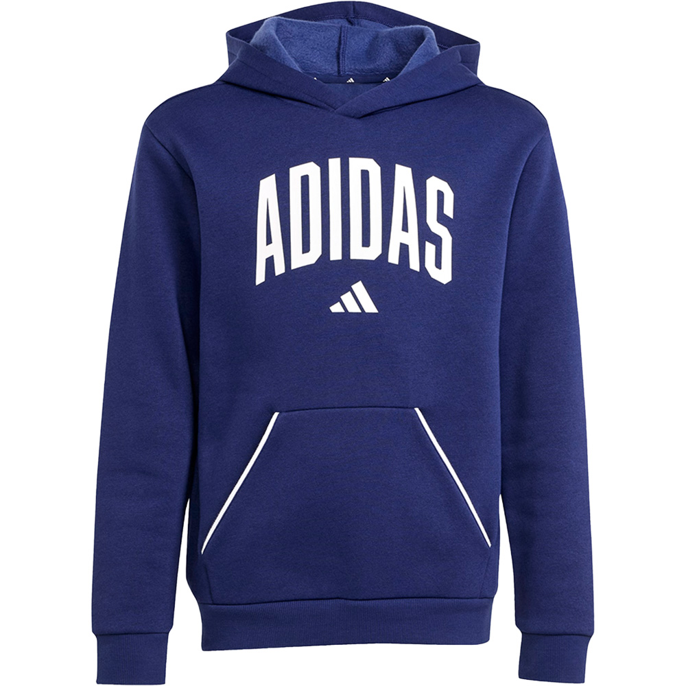 Seasonals Essentials Collegiate Typography Hoodie Kinder 