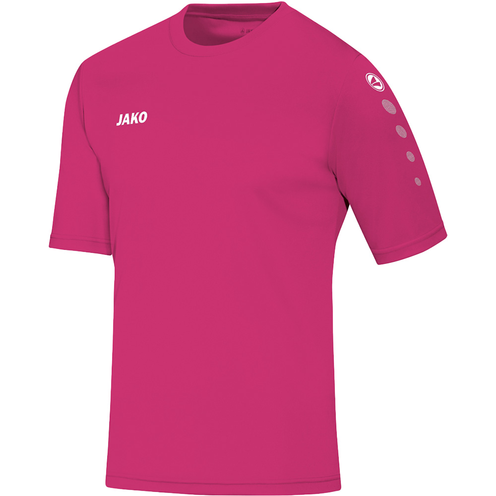 Trikot Team Kurzarm 
