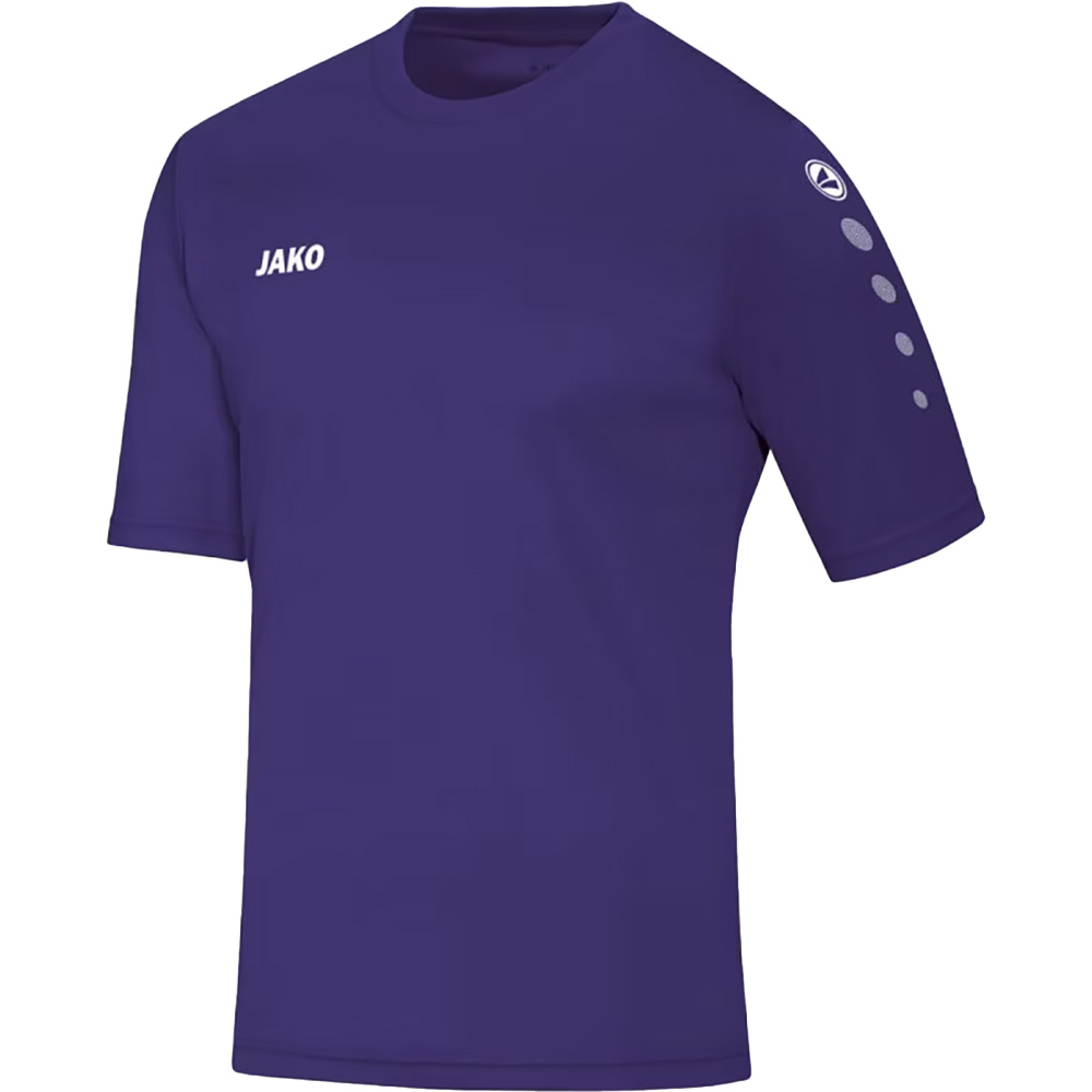 Trikot Team Kurzarm 