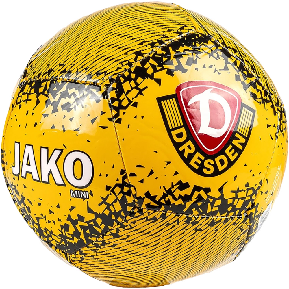 Dynamo Dresden Miniball Performance 1