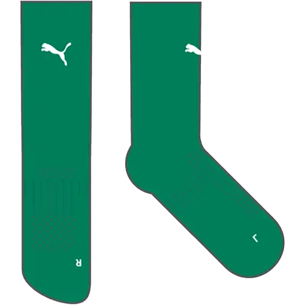 Teamgoal Performance Socken 2