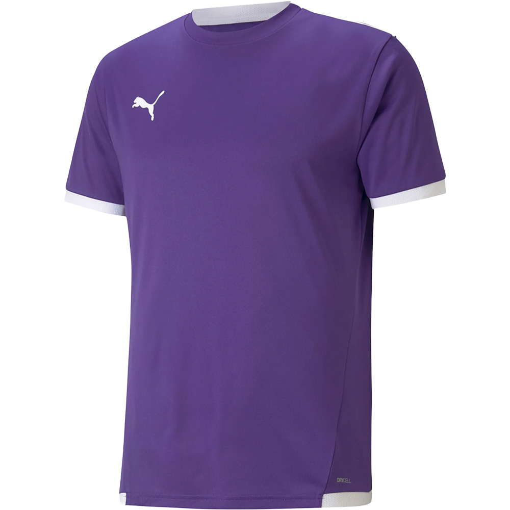 Teamliga Trikot 