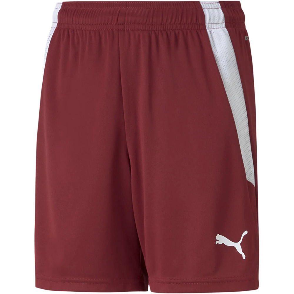 Teamliga Shorts Kinder 