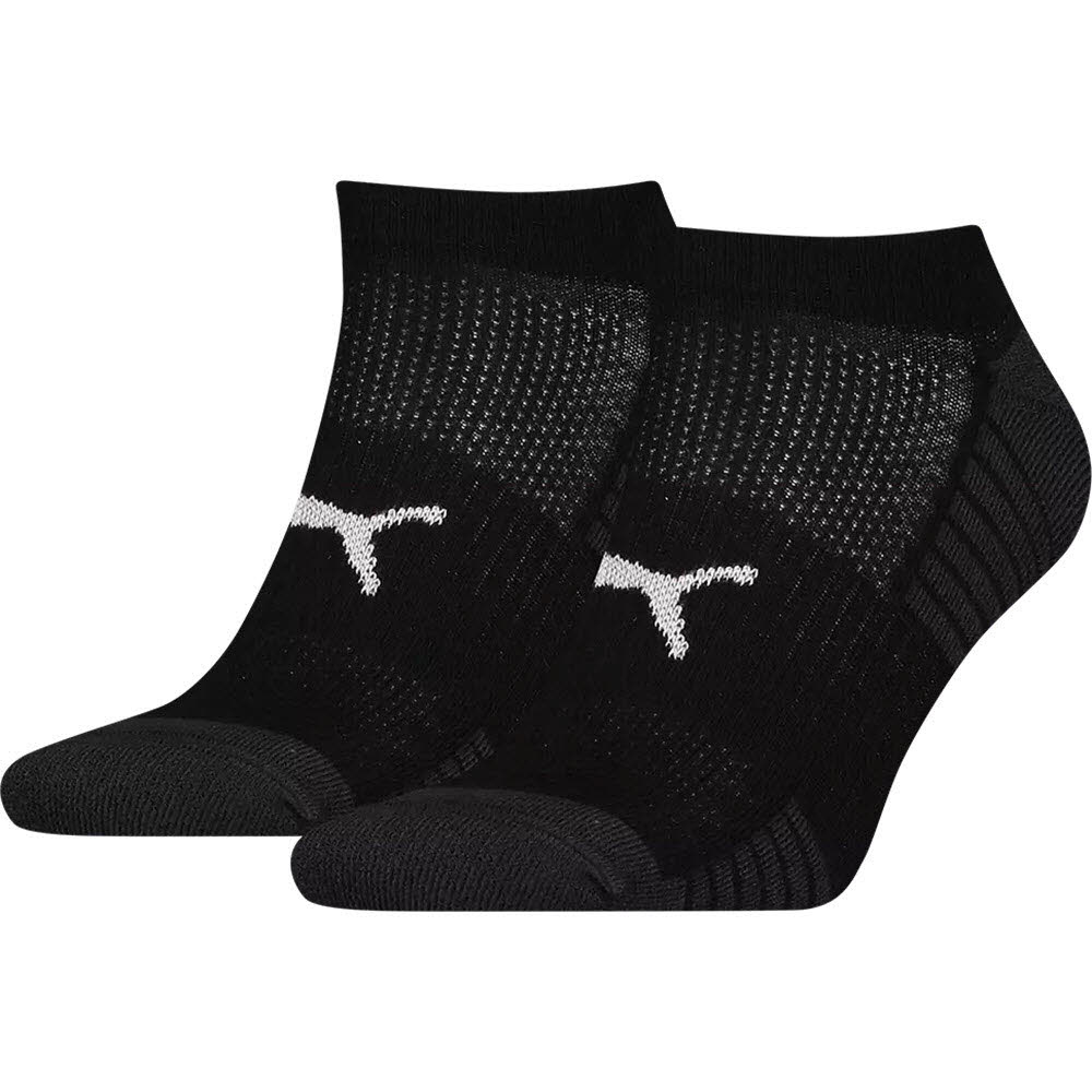 Sport Cushioned Sneaker Socks 2P 