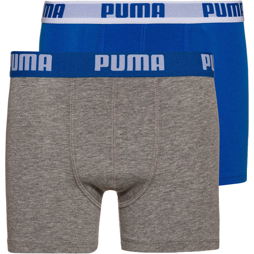 Basic Boxer Kinder 164