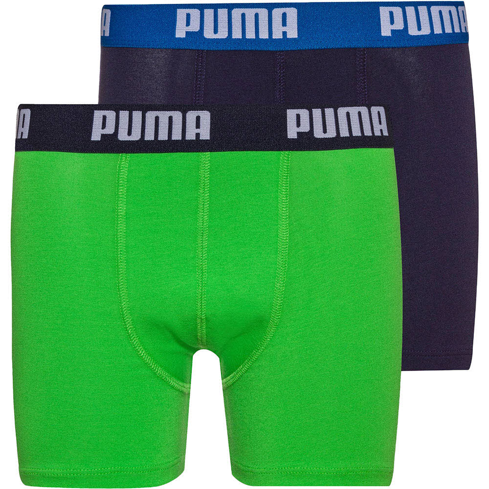 Basic Boxer Kinder 