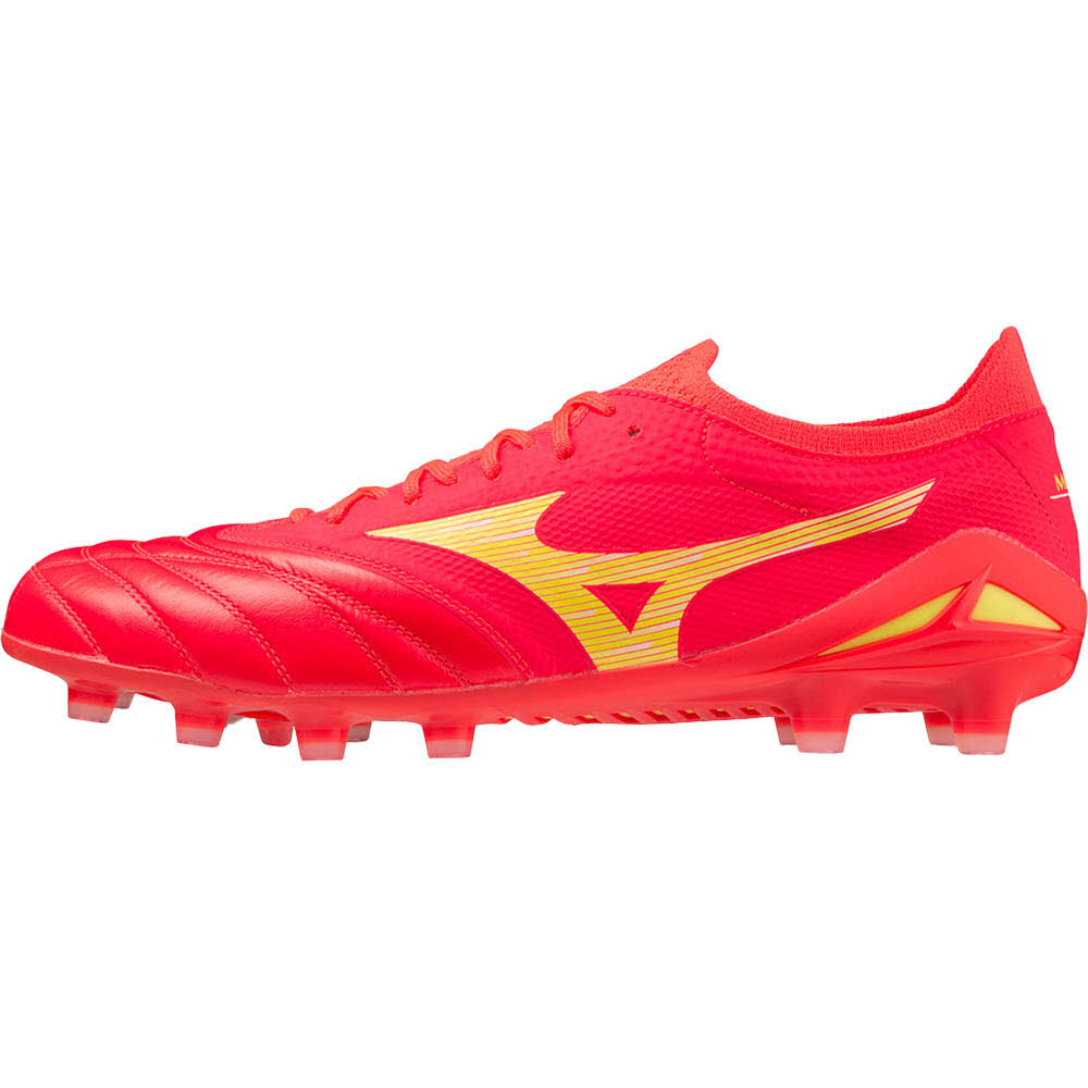 Morelia Neo IV Beta 