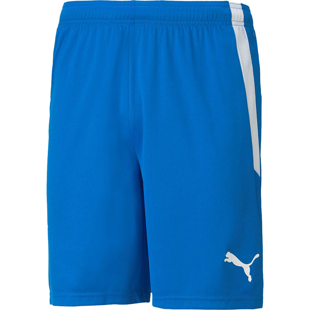 teamLiga Shorts 