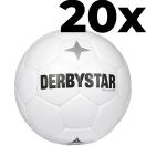 Brillant APS Classic v22 20x Bundle