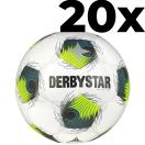 Brillant-TT DB v24 20x Bundle