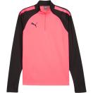 morepic-1