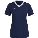 morepic-1