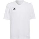 morepic-1