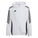 morepic-1