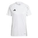 morepic-1