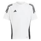 morepic-1
