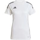morepic-1