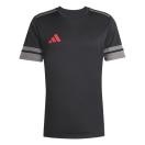 morepic-1
