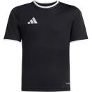 morepic-1