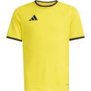 morepic-1