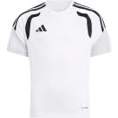 morepic-1