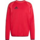 morepic-1