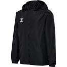 morepic-1