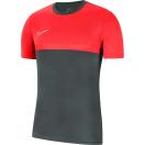 morepic-1
