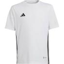 morepic-1
