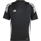 morepic-1