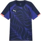 morepic-1