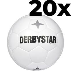 Brillant APS Classic v22 20x Bundle 