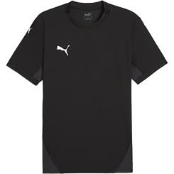teamFINAL Trikot