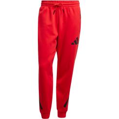 Sportswear Z.N.E. Hose 