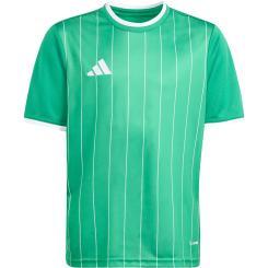 Entrada 26 Grafik Trikot Kinder