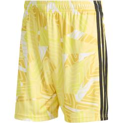 TIRO26 Torwartshorts Competition