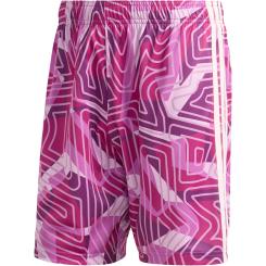 TIRO26 Torwartshorts Competition