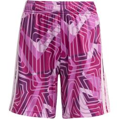 Tiro 26 Competition Torwartshorts Kinder