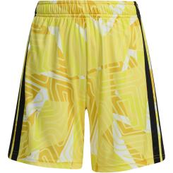 Tiro 26 Competition Torwartshorts Kinder