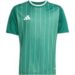 Entrada 26 Grafik Trikot Kinder