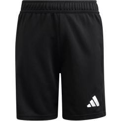 Tierro 26 Torwartshorts Kinder
