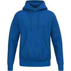 TS Hoodie 