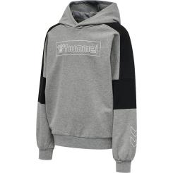 Hmlboxline Hoodie  