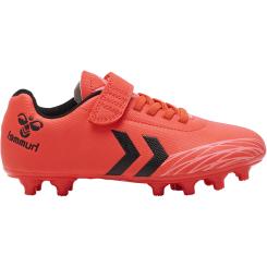 Top Star FG Kinder