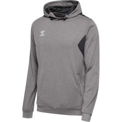 Authentic Pl Hoodie 